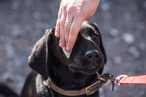 Mikki - Toallitas limpiadoras de Ojos para Perros y Gatos, 17 toallitas