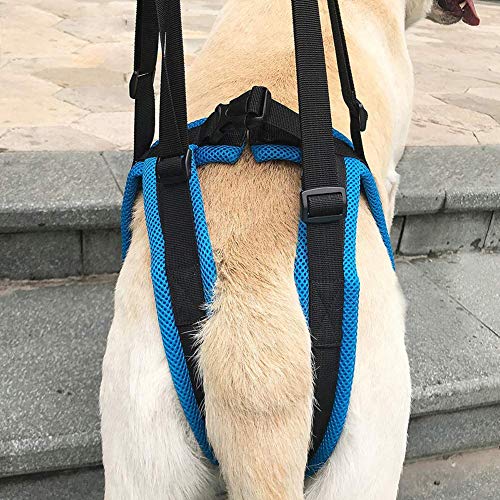 MILECN Arnés de Elevación para Perros - Arnés de Soporte de Elevación para Perros para Patas Traseras Débiles,para Perros Pequeños y Grandes Caminando Alivio del Dolor,XL