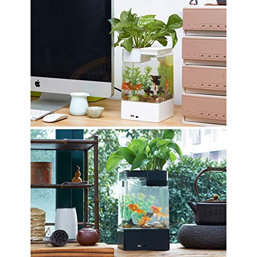 Mini Juego de Acuario, Juego de cría de Peces para Peces Tropicales, Kits de Acuario de Hierba autolimpiantes con iluminación LED de Colores, Kit de Inicio para Acuario con Base (Color : White)