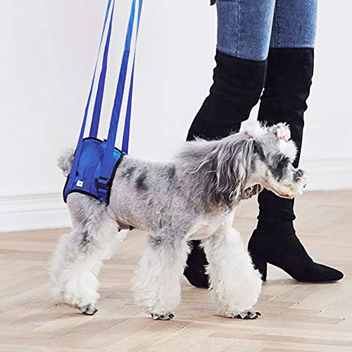 Minnya Arnés de Soporte para Perros Ayuda para Caminar para Mascotas Levantar el Chaleco para Tirar Sling Support Rehabilitación con Patas traseras débiles para Perros Viejos y heridos