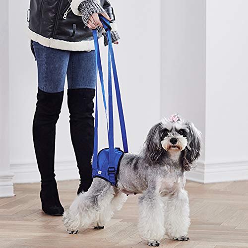 Minnya Arnés de Soporte para Perros Ayuda para Caminar para Mascotas Levantar el Chaleco para Tirar Sling Support Rehabilitación con Patas traseras débiles para Perros Viejos y heridos