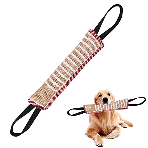 Mordedor Perro, Juguetes para Perros de Entrenamiento, con Dos Asas, 30 cm ,Juguetes para Perros de Entrenamiento, Juguete Interactivo Perro Dummy y Motivador Canino Resistente y Duradero