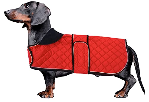 MOREZI Chaqueta de Invierno Dachshund, Forro Polar Acolchado, con Agujeros para cinturón de Seguridad y Hook Loop, Talla Ajustable, fácil de Poner y Quitar-Rojo-L