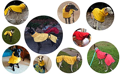 MOREZI Chubasquero para Perro, Cortaviento e Impermeable, Cuello Alto abatible, con Orificio para Cuerda de Seguridad y Hebilla de Velcro, Apto para Perros de tamaño Mediano-Amarillo-XXXL