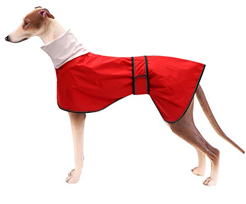 MOREZI Chubasquero para Perro, Cortaviento e Impermeable, Cuello Alto abatible, con Orificio para Cuerda de Seguridad y Hebilla de Velcro, Apto para Perros de tamaño Mediano-Rojo-S