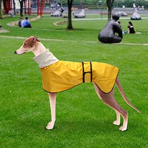 MOREZI Chubasquero para Perro, Cortaviento e Impermeable, Cuello Alto abatible, con Orificio para Cuerda de Seguridad y Hebilla de Velcro, Apto para Perros de tamaño Mediano-Rojo-S