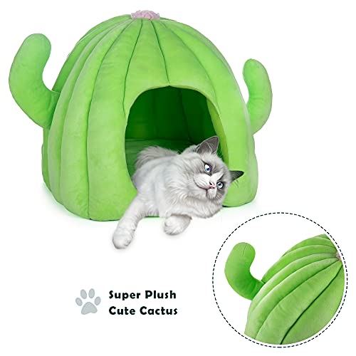 My OLi Cama de gato autocalentante, casa de cactus, casa de gato para interior y gatos, casa con cojín, lavable a máquina, cama de mascotas para gatos, perros pequeños, cachorros, gatitos, gatitos