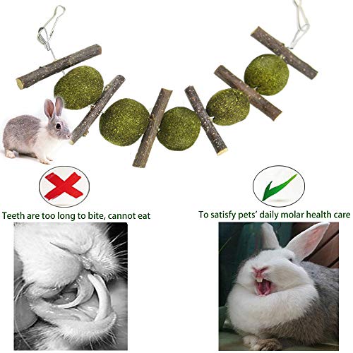 N/0 Juguetes Conejos 2PCS Juguetes para Masticar Conejos Juguetes para Animales Pequeños Juguete para Moler Dientes para Conejo Hámster Cobaya Chinchillas Gerbos Ratas