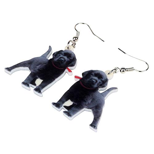 NA Pendientes de perro labrador de acrílico negro grande colgante gota lindo animal joyería para mascotas