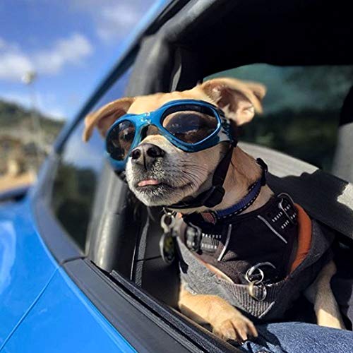 Namsan Stylish and Fun Pet/Dog Puppy UV Goggles Sunglasses Waterproof Protection Sun Glasses For Dog -Blue