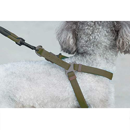 NANSHAN✅ PETGERA ++ Pet Dog Collar arnés Correa Tres Conjuntos, L, arnes Pecho tamaño: 57-90cm, Collar Cuello tamaño: 40-64cm, Pet Peso: 35 kg de Abajo De Tiempo Feliz Mascota (Color : Coffee)