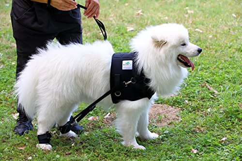 NATURE PET FlexiPander arnés de manejo con sujeción Pectoral/arnés de Entrenamiento/arnés de rehabilitación para Perros con Problemas de Cadera y Patas traseras (XS, Negro)