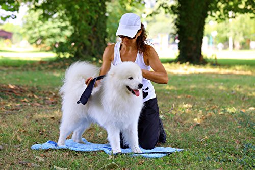 Nature Pet perro callo vendaje/perro codo soporte envuelta/codo vendaje/codo protectores para perros/codo de perro férula