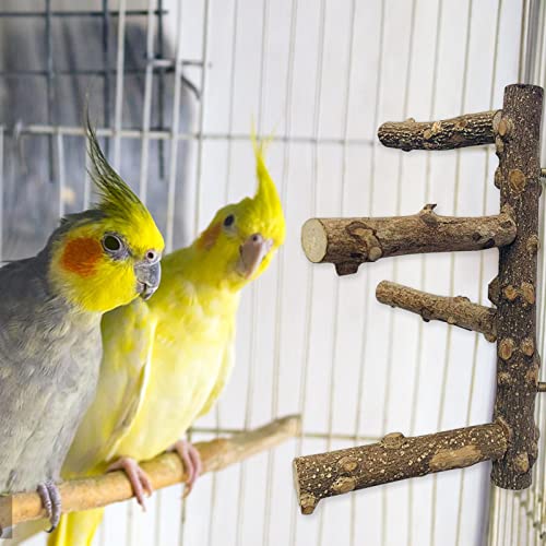 NC NC Perchas de pájaros Naturales, Juguete de Entrenamiento Colgante, Juguetes de mordedura para Masticar Loros para Mascotas para cacatúas, periquitos