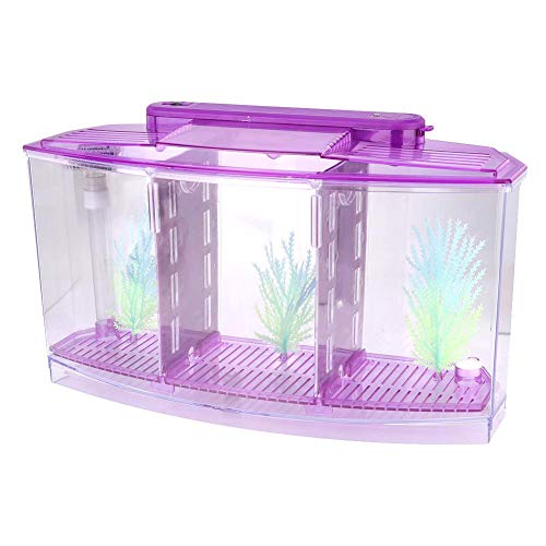 needlid Mini pecera de cría, pecera de cría de acrílico Transparente de Gran tamaño, pequeña pecera de cría única para Peces pequeños Peces bebés Camarones Pez Payaso Guppy(Purple)