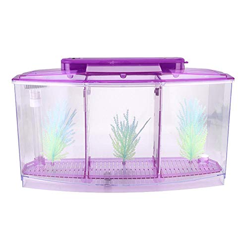 needlid Mini pecera de cría, pecera de cría de acrílico Transparente de Gran tamaño, pequeña pecera de cría única para Peces pequeños Peces bebés Camarones Pez Payaso Guppy(Purple)