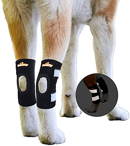 NeoSportsLab - Soporte para Perro con Patas traseras, Color Negro, tamaño Mediano