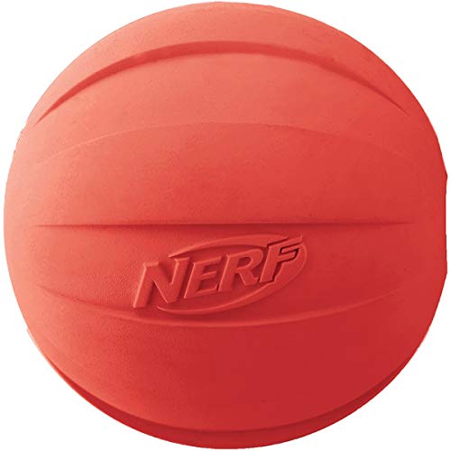 Nerf Pelota para chirriar para Perro, 10,25 cm, Verde