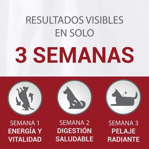 Nestlé Purina One Comida para Perro Junior pienso para Perro con Pollo y Arroz 1.5 g - Pack de 6