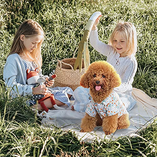 NIBESSER Ropa para perros, camiseta con estampado de flores, camisetas de manga corta, para perros, cachorros, suéter sin mangas, para primavera y verano (azul (manga corta), L)