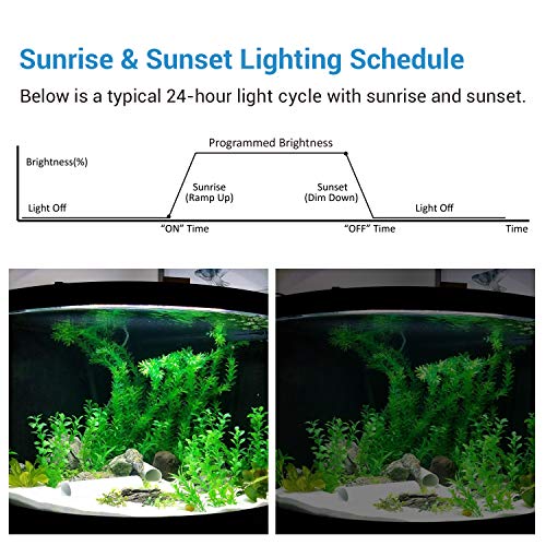 NICREW Temporizador de Un Canal para Luz Acuario, Luz de Acuario Temporizador para Acuarios Temporizador Digital para Luz LED de Acuario, Temporizador de Control de Iluminacion