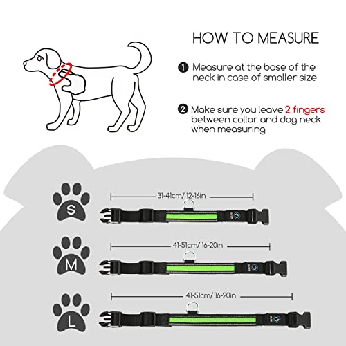 Nobleza - Collares LED para Perros, Collar Luminoso Perro de Mascota 3 Modos Collar Perro Luz con Recargable y Impermeable, Ajustable Collares LED para Pequeños Medianos Perros