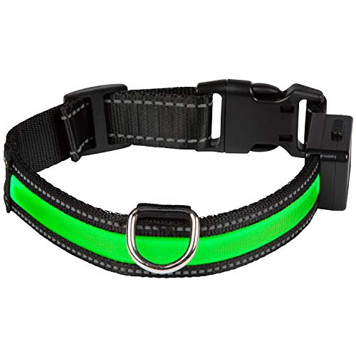 NUM'AXES Collar Eyenimal con USB Verde-S, Small