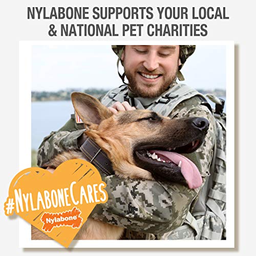 Nylabone - Dental Chew