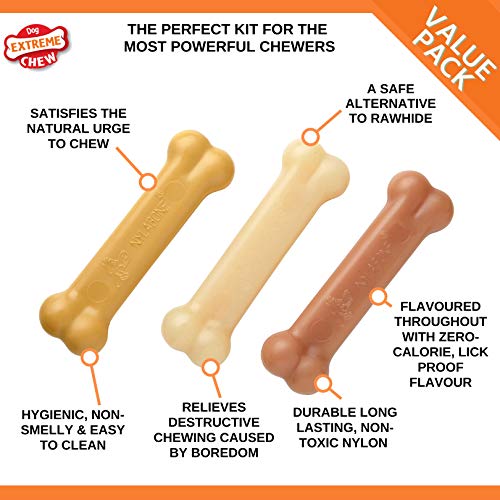 Nylabone Extreme Value Pack Perro Chew