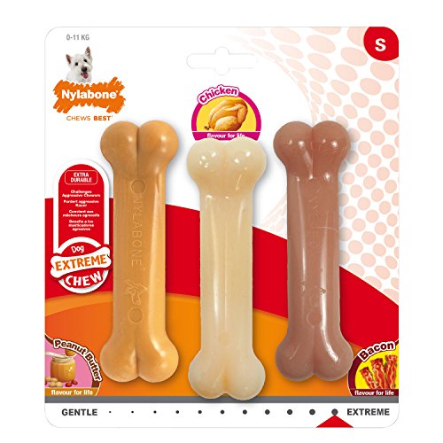 Nylabone Extreme Value Pack Perro Chew