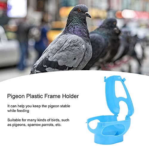 OKAT Soporte para Alimentación de Palomas, Fácil Instalación Comedero Fijo para Alimentación de Palomas para Gorriones de Loros(Azul)