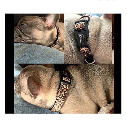 Olahibi Collar de perro de poliéster con patrón de leopardo, acolchado de neopreno suave y cómodo, para perros pequeños (leopardo).