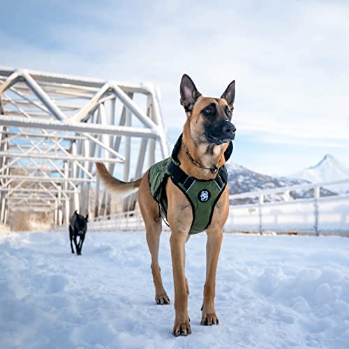 OneTigris K9 - Abrigo para perros Aquiles Bomber, estilo polar, resistente al viento y al agua, chaqueta de invierno para perros pequeños, medianos y grandes (verde, L)