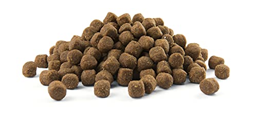 Opti Life Medium Puppy pienso para cachorros 12,5Kg