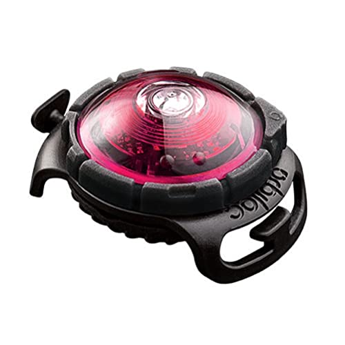 Orbiloc Luz LED de seguridad dual intermitente/sólida para perros, alta visibilidad, duradera, resistente al agua, resistente a los impactos, se fija a arneses y collar - rosa