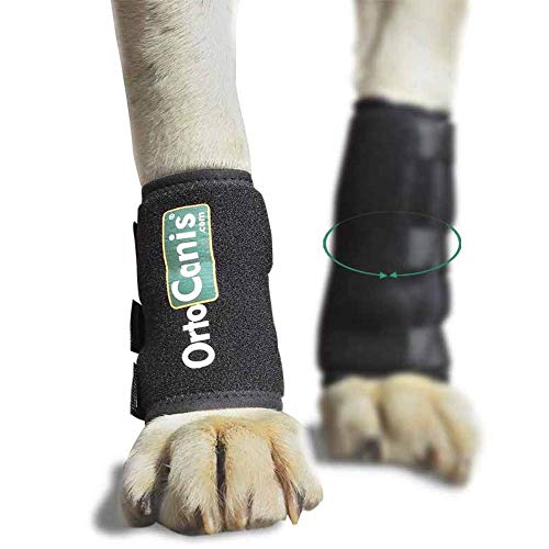 Ortocanis - Muñequera para Perros con artrosis, Lesiones a ligamentos, tendones o Perros Que practican Agility - Talla L