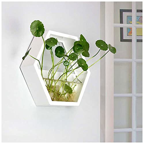 Oukerde Pecera de Pared,Jardinera Pared Vidrio,Acuario Colgante acrílico,Planta decoración tazón pecera Betta Burbuja montada en la Sala Estar casa Comedor (Negro)