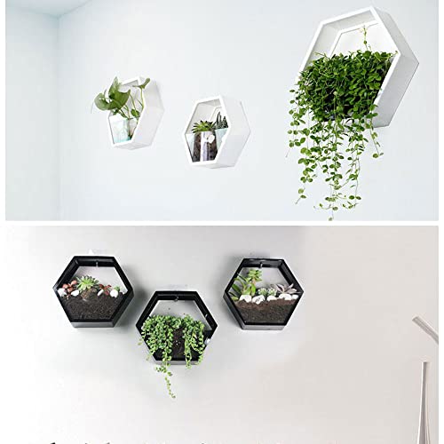 Oukerde Pecera de Pared,Jardinera Pared Vidrio,Acuario Colgante acrílico,Planta decoración tazón pecera Betta Burbuja montada en la Sala Estar casa Comedor (Negro)