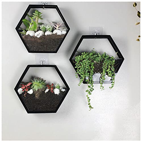 Oukerde Pecera de Pared,Jardinera Pared Vidrio,Acuario Colgante acrílico,Planta decoración tazón pecera Betta Burbuja montada en la Sala Estar casa Comedor (Negro)