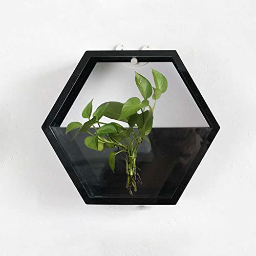 Oukerde Pecera de Pared,Jardinera Pared Vidrio,Acuario Colgante acrílico,Planta decoración tazón pecera Betta Burbuja montada en la Sala Estar casa Comedor (Negro)