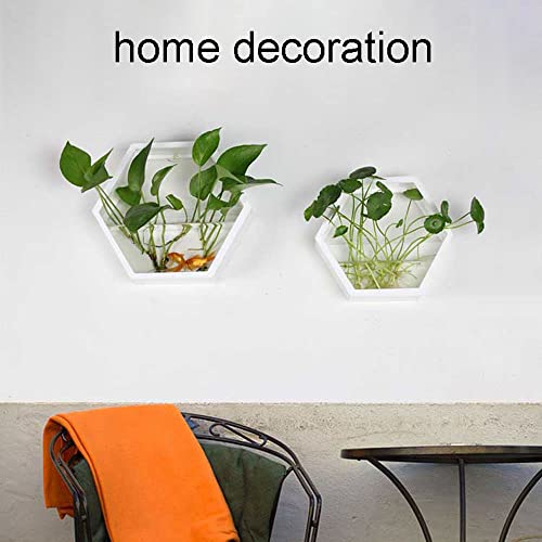 Oukerde Pecera de Pared,Jardinera Pared Vidrio,Acuario Colgante acrílico,Planta decoración tazón pecera Betta Burbuja montada en la Sala Estar casa Comedor (Negro)