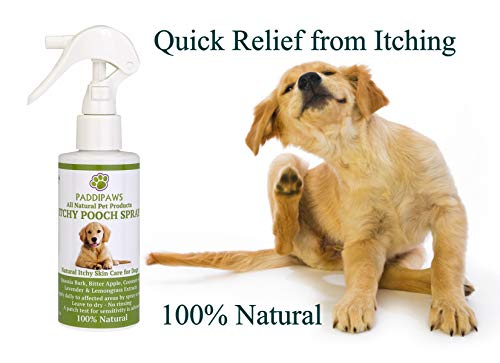 PADDIPAWS - Spray para perro con picor 100% natural, alivio rápido de la picazón y la incomodidad, calmante y sin picaduras, ingredientes naturales seguros, no tóxicos y sin parabenos