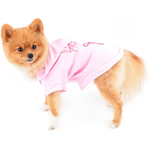 PAIDEFUL Camiseta con Capucha Pequeña Ropa De Perro Sudadera con Capucha 100% Algodón Camisas Rosadas con Capucha para Perros Ropa De Mascotas Femenina Niñas Rosa Corona Damió Princesa S