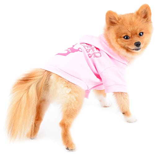 PAIDEFUL Camiseta con Capucha Pequeña Ropa De Perro Sudadera con Capucha 100% Algodón Camisas Rosadas con Capucha para Perros Ropa De Mascotas Femenina Niñas Rosa Corona Damió Princesa S