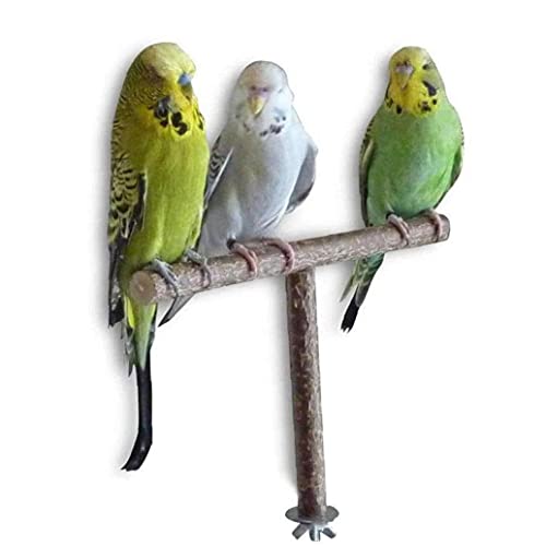 Pájaro perca de stands perchas cuerda del juguete loro soporte Chew Toy Rascar con una cuerda de la jaula de decoración para los pinzones loros Conure Para Parakeet de Budgie Cacatúas Lovebirds para