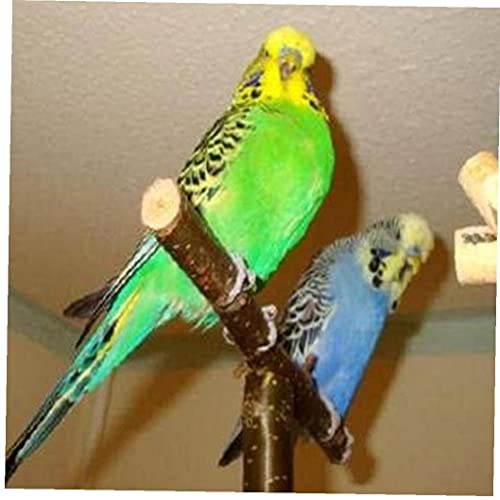 Pájaro perca de stands perchas cuerda del juguete loro soporte Chew Toy Rascar con una cuerda de la jaula de decoración para los pinzones loros Conure Para Parakeet de Budgie Cacatúas Lovebirds para