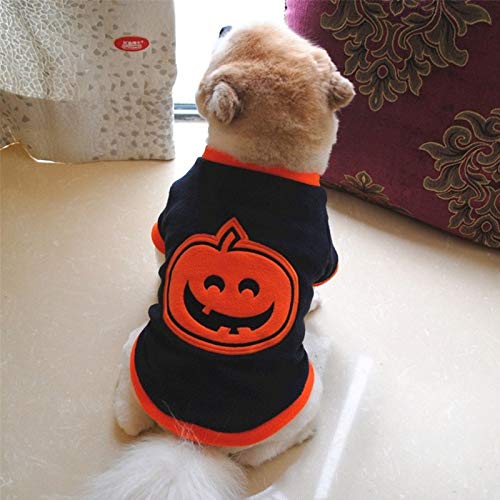 PANPAN Disfraz de calabaza para mascotas de Halloween, talla XS (azul) suministros para gatos y perros