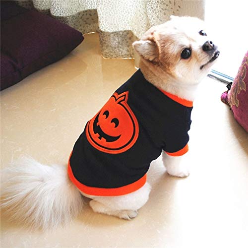 PANPAN Disfraz de calabaza para mascotas de Halloween, talla XS (azul) suministros para gatos y perros