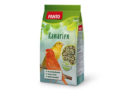 Panto Comida para pájaros Ornamentales, alimento para Canarios, 1 kg, 5 Unidades (5 x 1 kg)