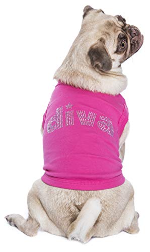 Parisian Pet Diva - Camiseta de Manga Corta, tamaño Mediano